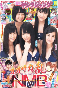 至死方休