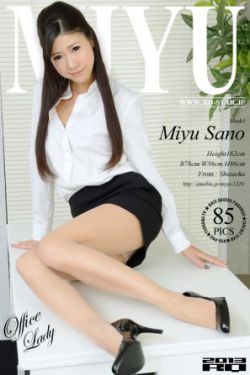 岳婿合体内容介绍