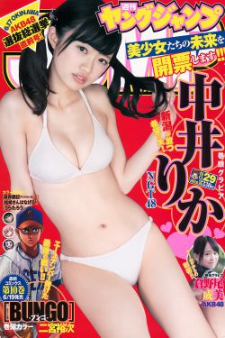 永久领域
