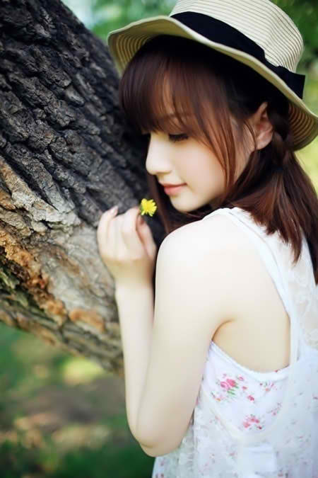 夜合花